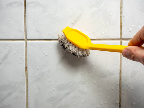 Best Office Mold Removal Services  in Marlow, OK