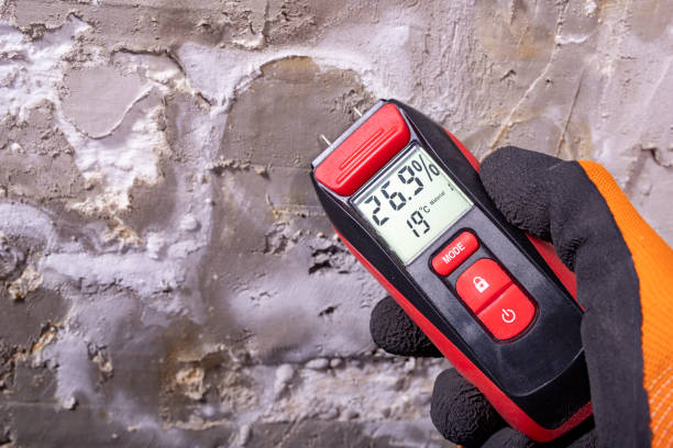 Best Residential Mold Removal  in Marlow, OK