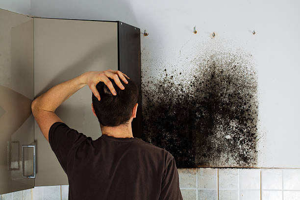 Best Home Mold Removal  in Marlow, OK